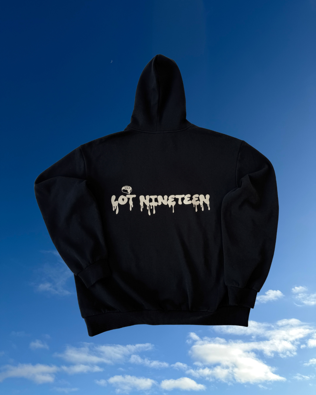 Lot Nineteen Hoodie
